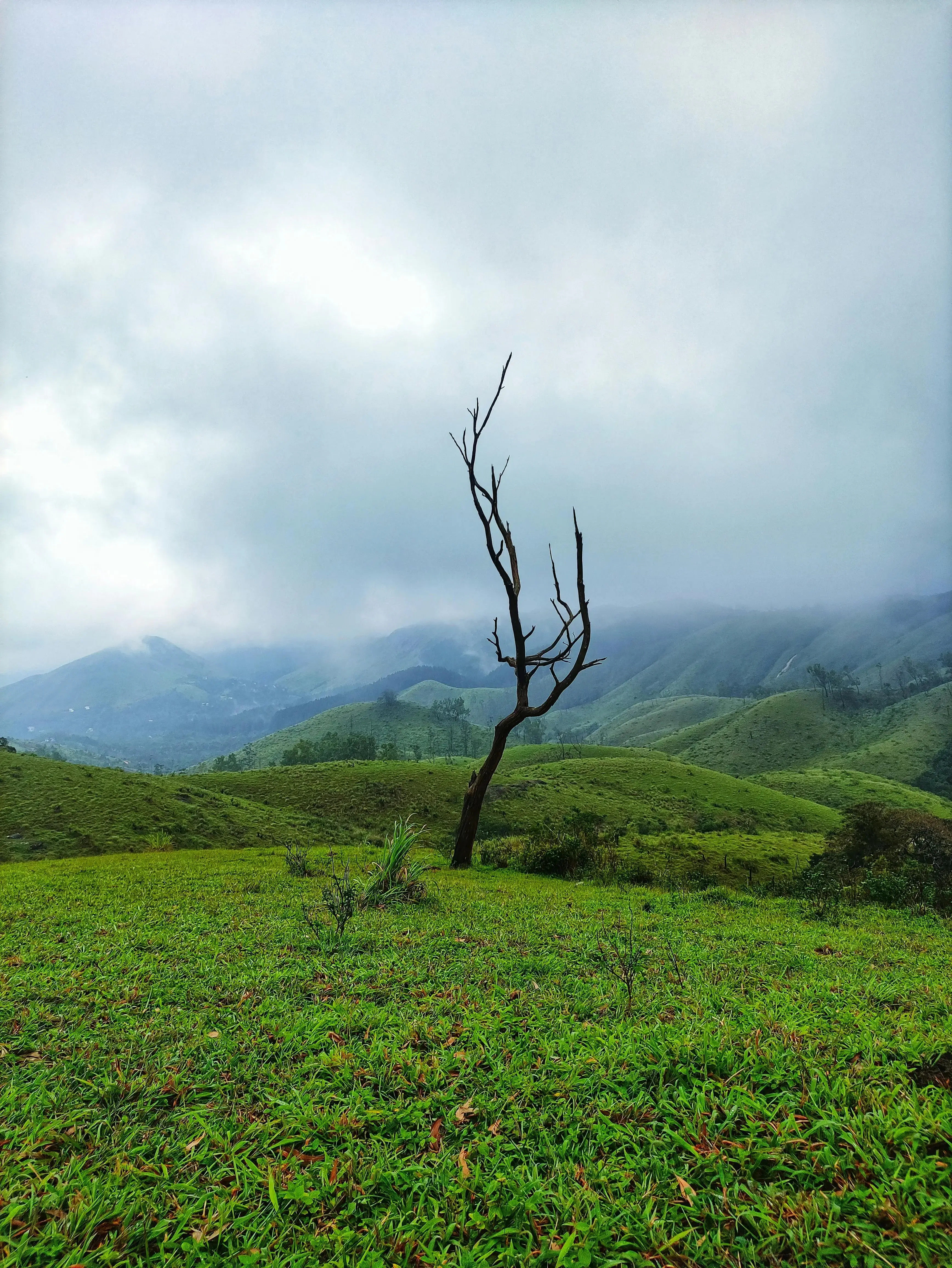 Vagamon